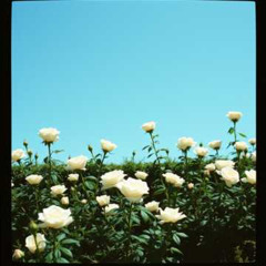 I love you to tears! #3