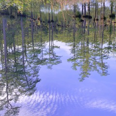 BEAN WATER [mini dj mix]