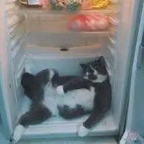 Мифл поëт