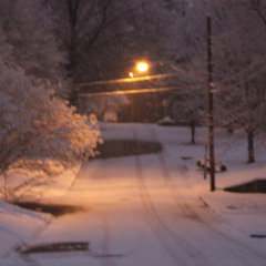 because its beautiful