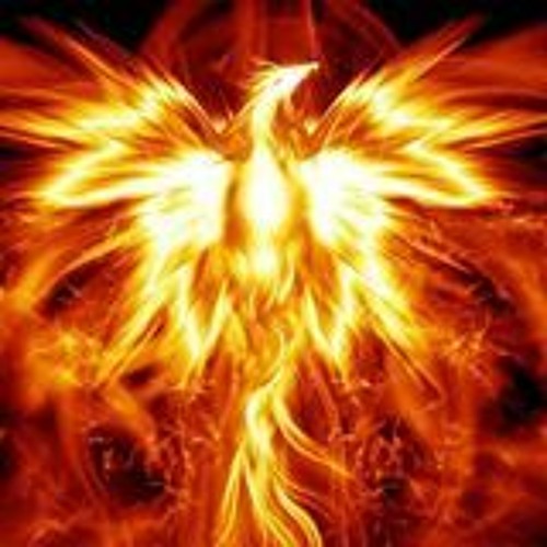 Rises From The Ashes