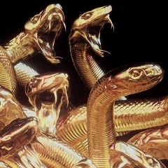 Snakeskin