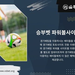 내기 카지노 사이트