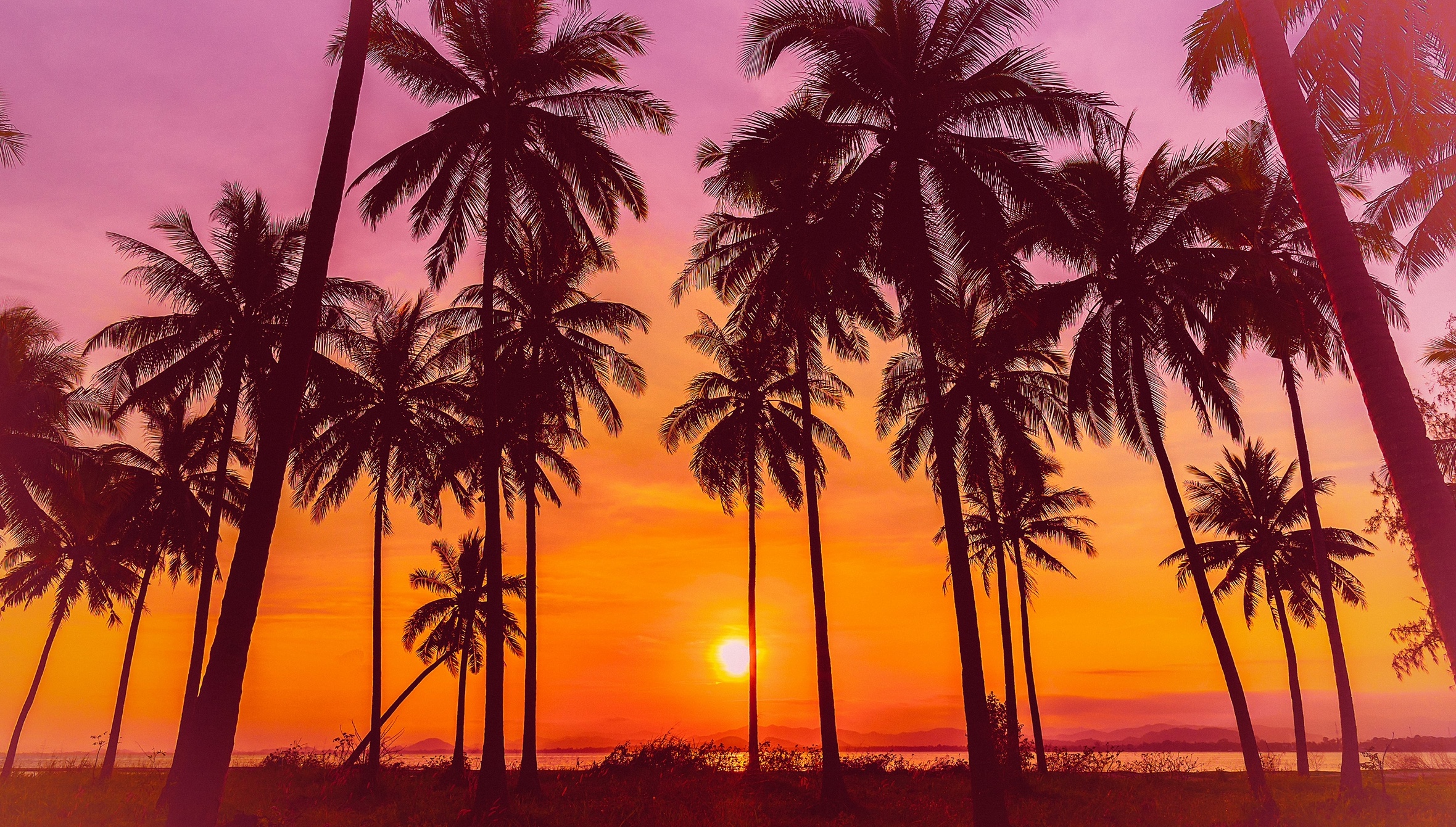 熱波 Neppa ft. Butter / Tephe