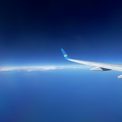 I WANNA FLY