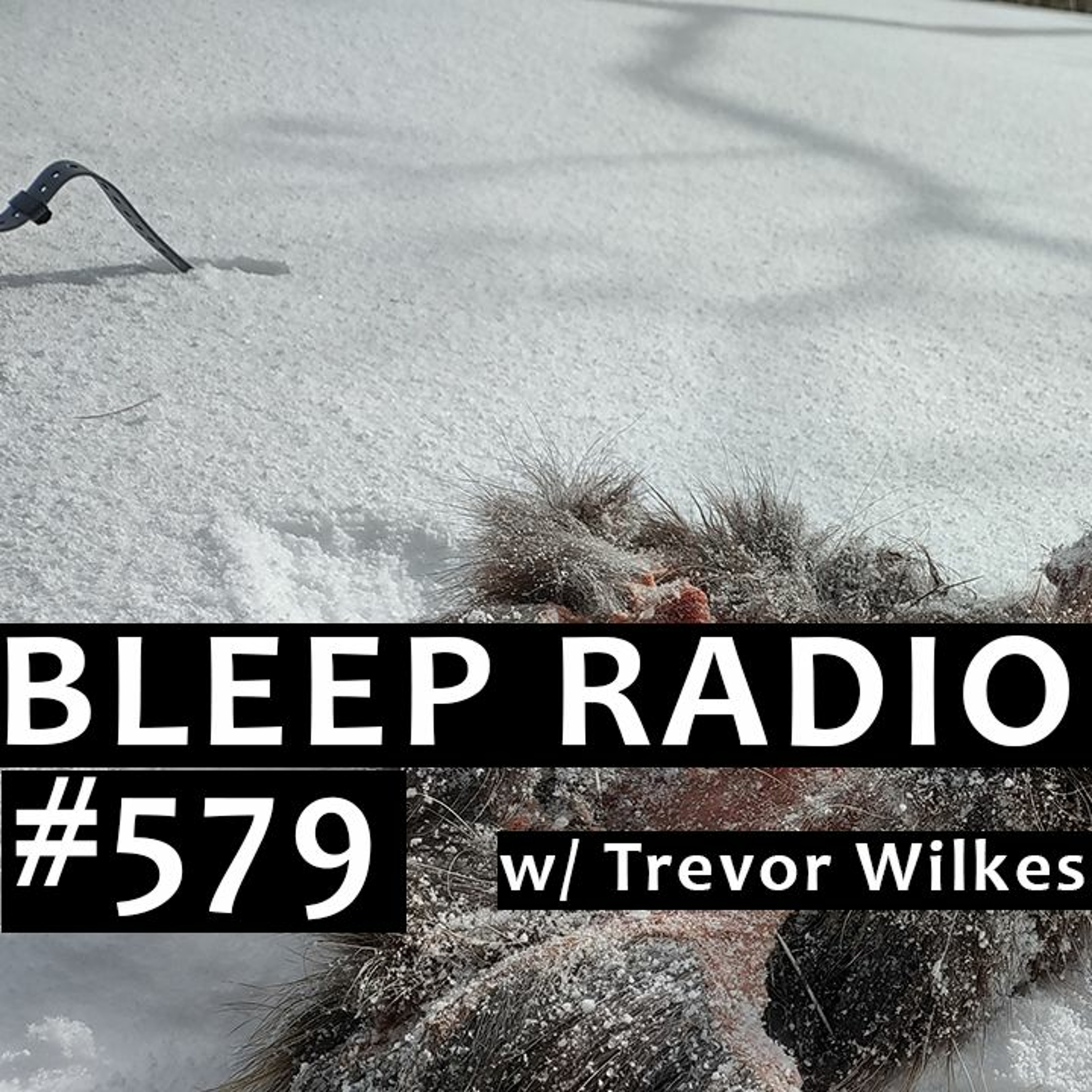 Bleep Radio w/ Trevor Wilkes