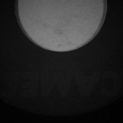 Leech Brothers - Disco Show (renno's flute'n'vocal overdrive)