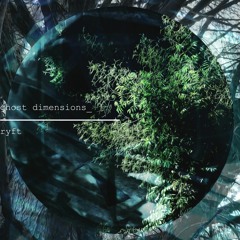 Ryft - Ghost Dimensions       .C142