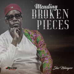 SbuNdengese - Nomusa