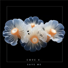 ILLR025: Emre K. - Save Me (Original Mix)