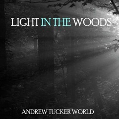 LIGHT IN THE WOODS
