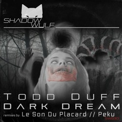 Todd Dudd - The Rhythm (Peku Remix) [Shadow Wulf]