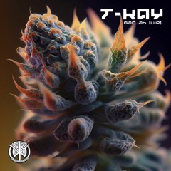 T-Kay - Ganjah (Vip) (WSR116 - Wayside Records)