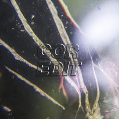 Previews // Company B - Fascinated (Endrik Schroeder Rework) Correspondant Records // FREE DL LINK