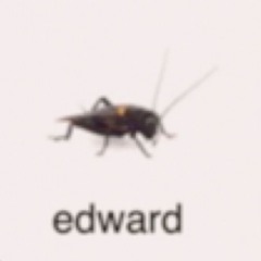 Edward