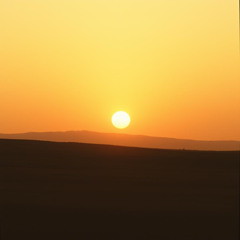 Stay This Light-