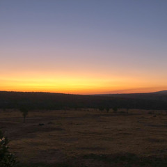 Dusty confessions pt. 2