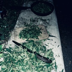 reagent koshey knjaz babbytrappy GLV.34