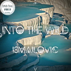 " Into the Wild " Nomadcast 35 by Îsmailovic