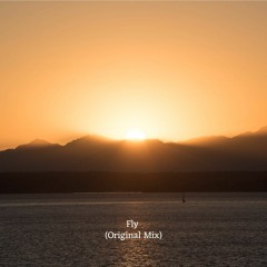 Fly (Original Mix)