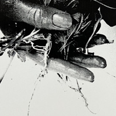 Unica - Side A from “Skeuomorphs”