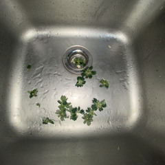 (｡ì _ í｡)attempt2