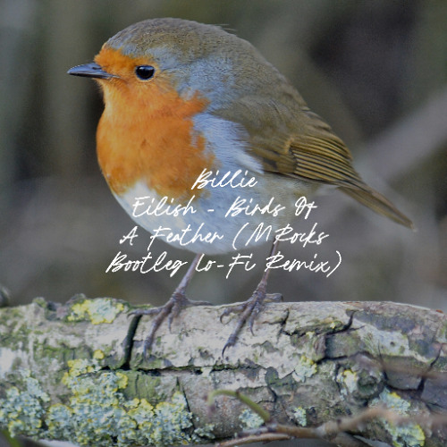 Billie Eilish - Birds Of A Feather (MRocks Bootleg Lo-Fi Remix)