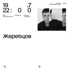 Peter Zherebtsov - Deep Intelligent Sound 095 (19.07.23) 2 hour