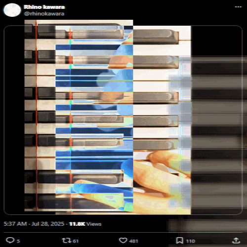 rhino pill - (DJ Varispeeds)