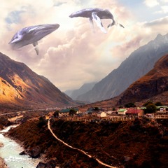 Carol Nóbrega Playlist