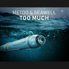 MeToo & Seawell - Too Much
