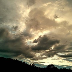 折り紙 カスタム part2