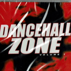 Dancehall Z Reloaded 2025 [Summer Mgx] Dj Little T G masta Sound
