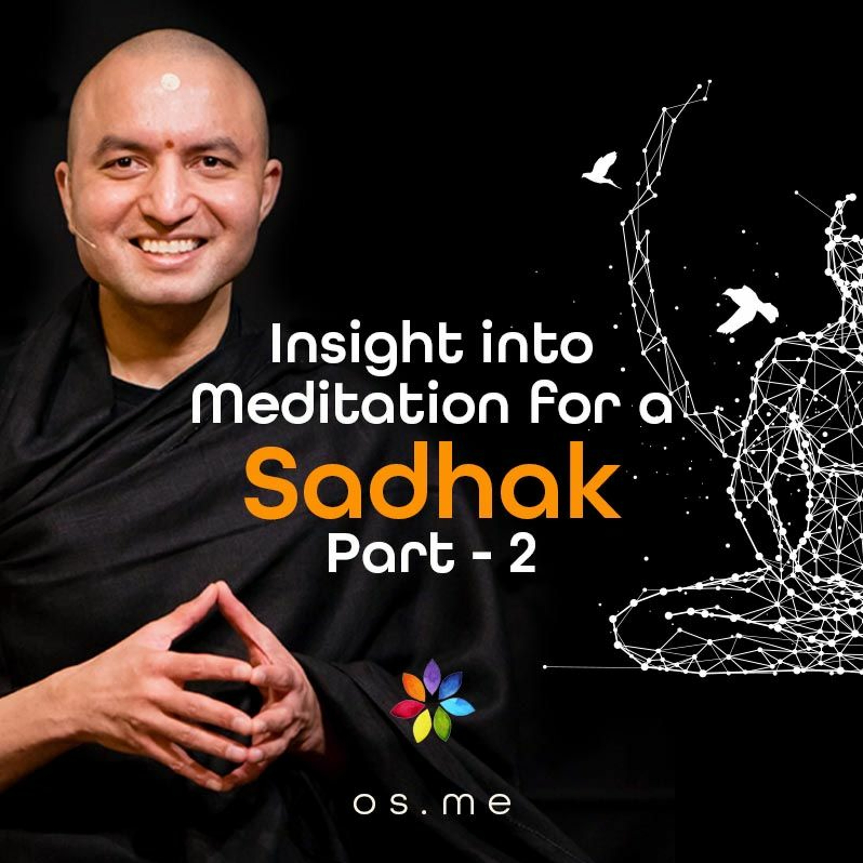 Insight into Meditation for a Sadhak (Seeker) Part 2 (Hindi)