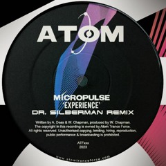 Micropulse - Experience (Dr. Silberman Remix)