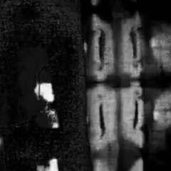 Canary Kids - Cashmoney (No Rome Cover)