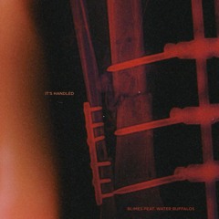 IT'S HANDLED (feat. Water Buffalos)