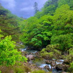 serotonin (beat tape) ! visual in bio !