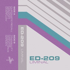 ED-209 - Liminal