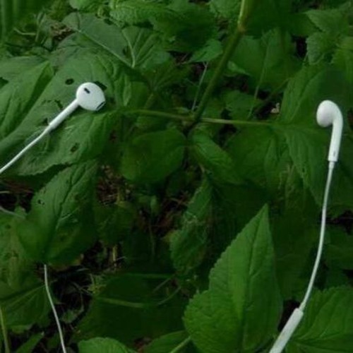 20°56’15.47″S 164°39’30.56″E