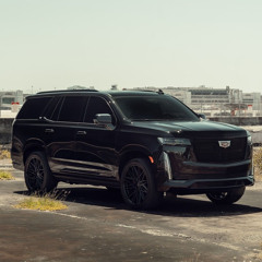 Cadillac Sabi Bhinder