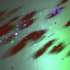 everyday (07-19-26) dancing particle blips