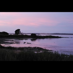 2022.02.20 A Coorong Dawn. Waterline. Late Summer.