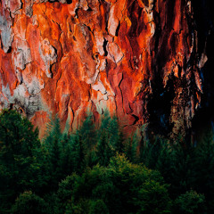 Echoes from nature