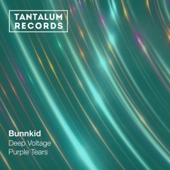 PREMIERE: Bunnkid - Purple Tears [Tantalum Records]