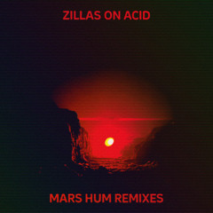 Zillas On Acid - The Magic Of The State (The Dude of Stratosphear Remix)