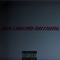 DID I MEAN NOTHING?