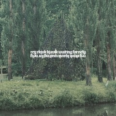 Rey&Kjavik - Nely