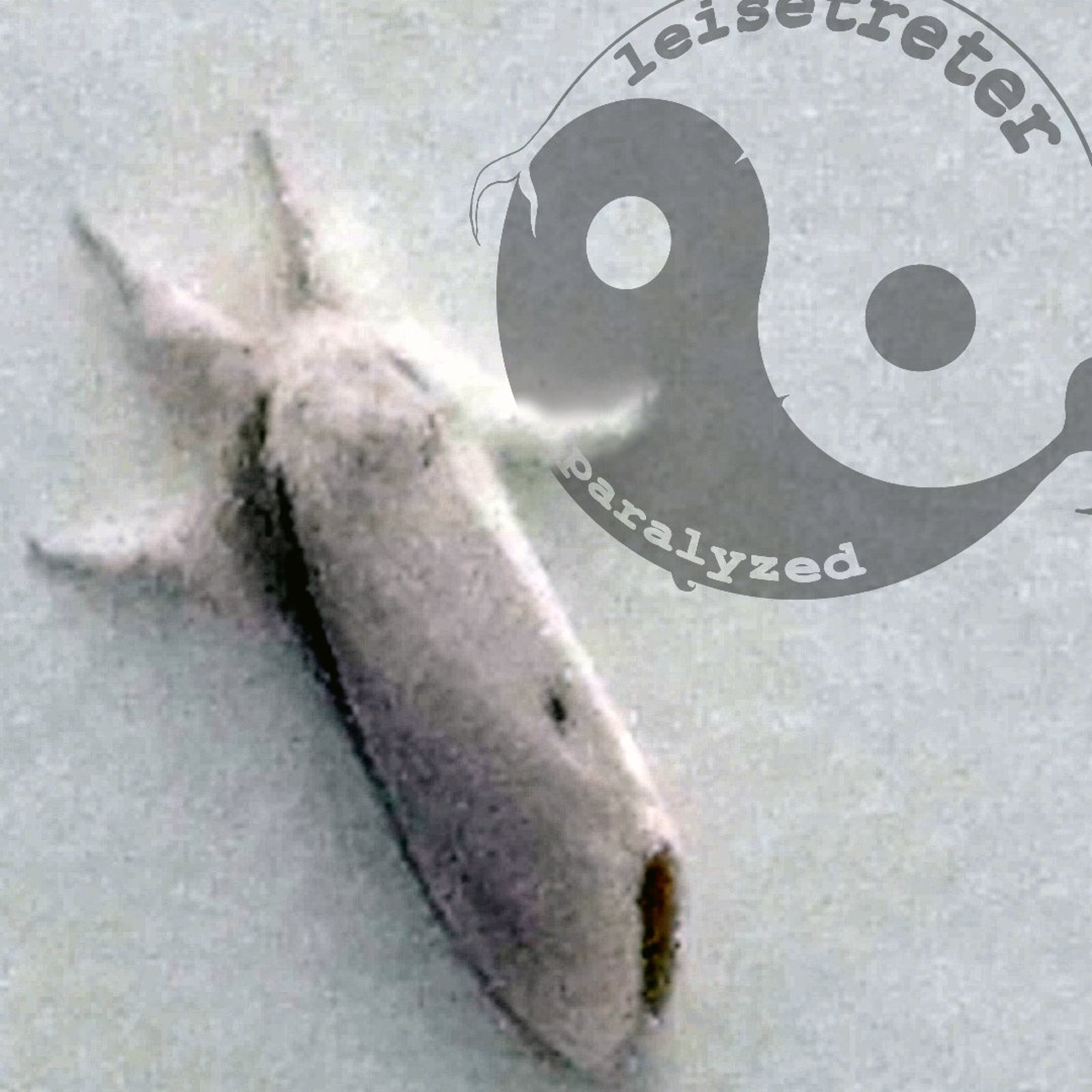 Paralyzed episode artwork