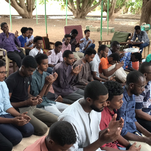 شباب العِزة يتقدم/ فرقة نمارق للآداب والفنون